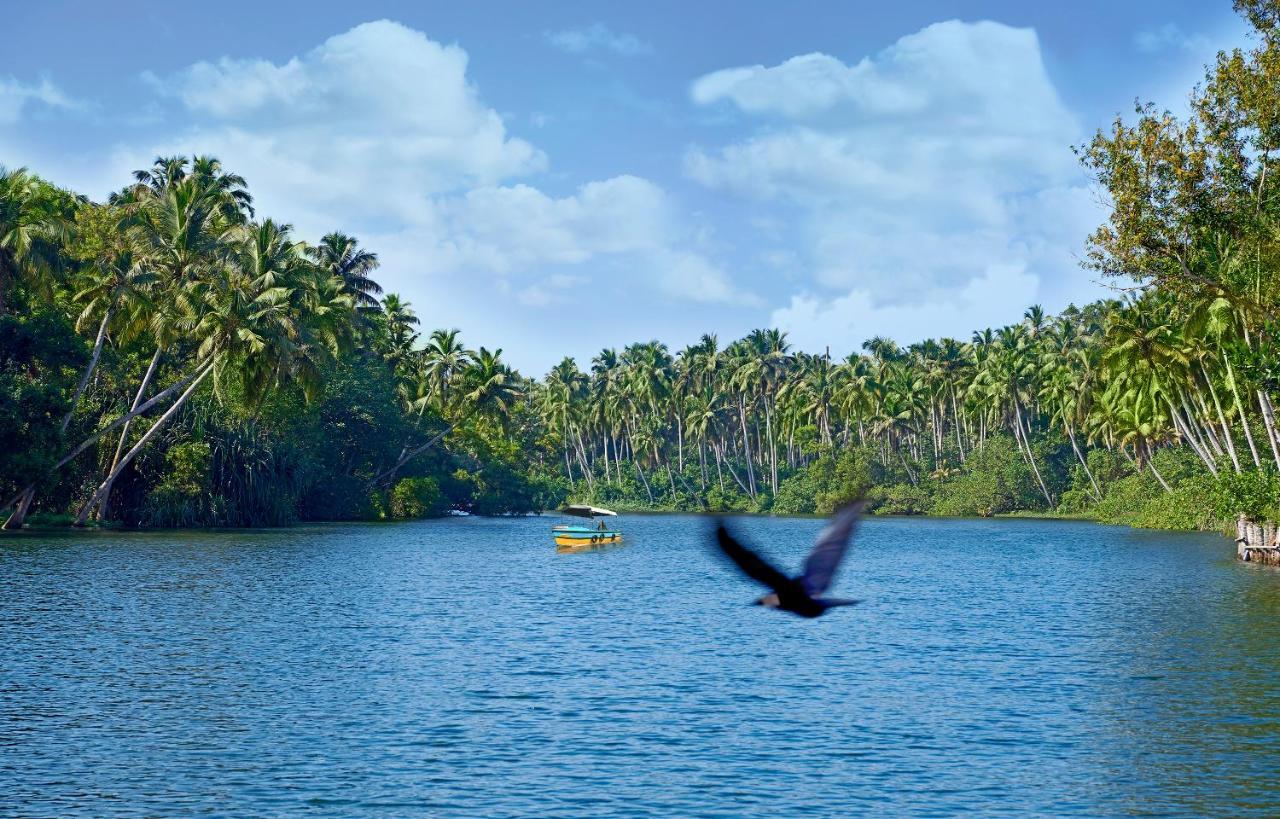 فندق إيستواري ساروفار بورتيكو بوفار آيلاند Poovar المظهر الخارجي الصورة